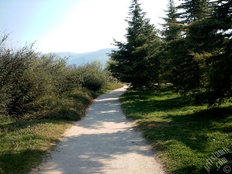 View of Botanical Park in Bursa city of Turkey.
