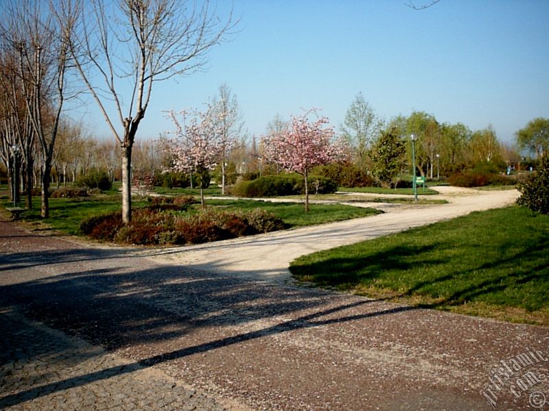 View of Botanical Park in Bursa city of Turkey.
