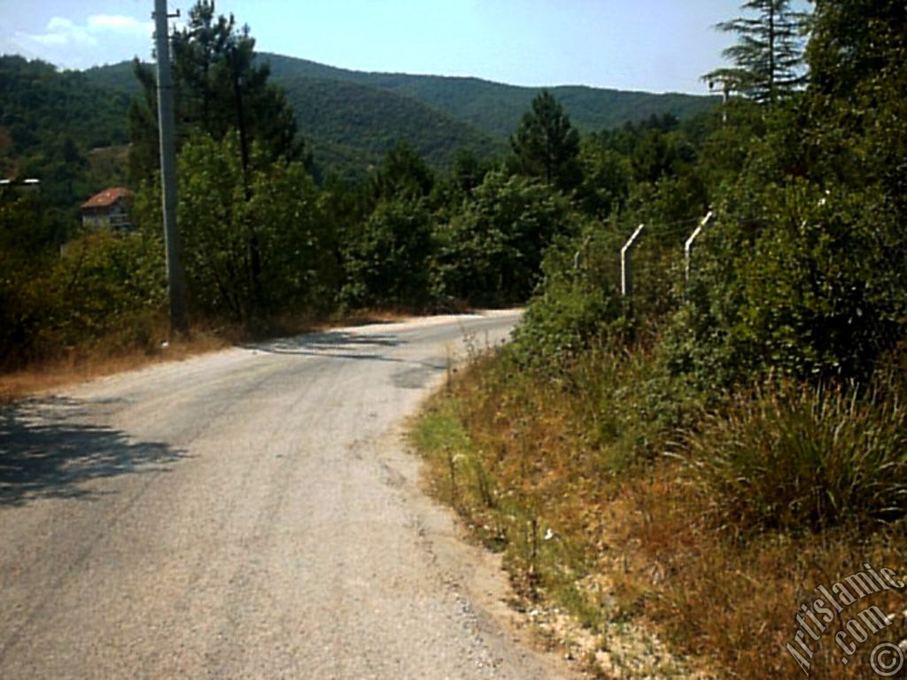 View of Termal-Gokcedere Village in Yalova city of Turkey.
