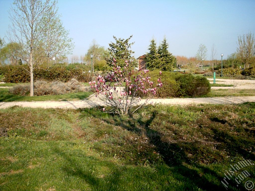 View of Botanical Park in Bursa city of Turkey.

