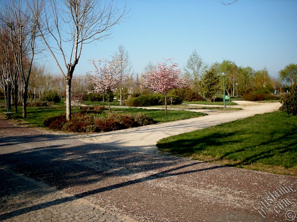 View of Botanical Park in Bursa city of Turkey.

